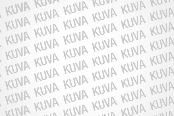 esimerkkikuva